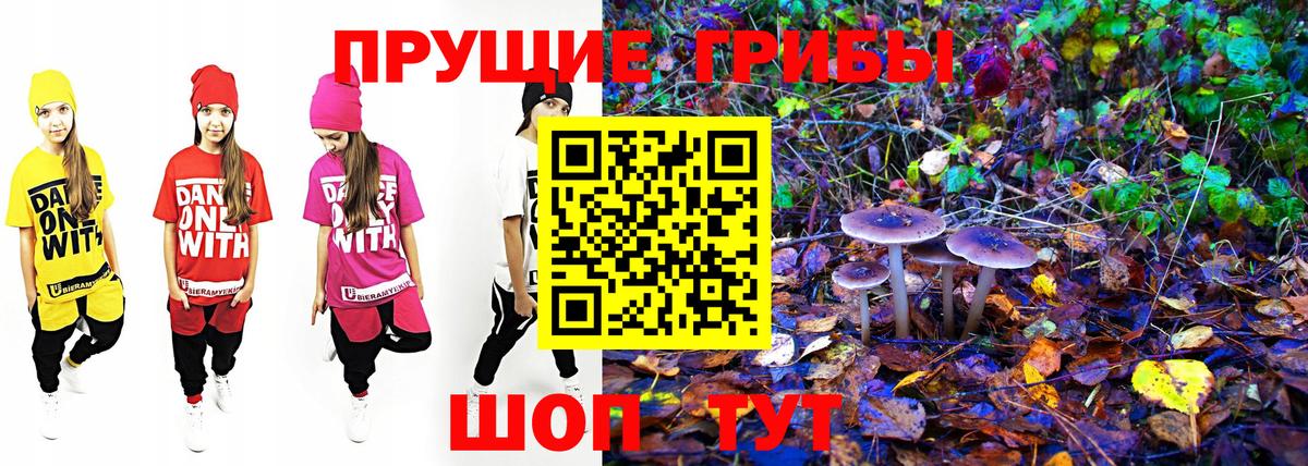 Галлюциногенные грибы Magic Shrooms  Вход с VPN  Всеволожск 